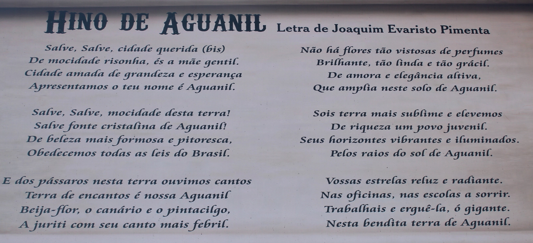 HINO AGUANIL